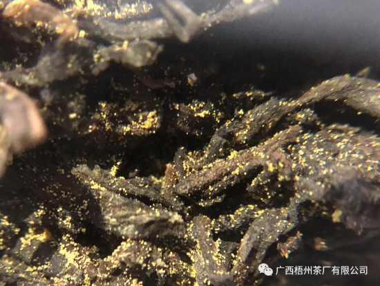 微信截圖_20220117093613.png 微信截圖_20220117093613.png